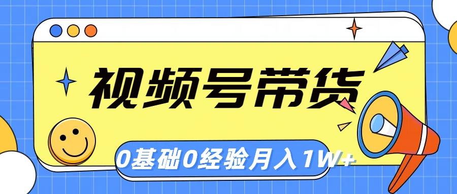 视频号轻创业带货，零基础，零经验，月入1w+-皮皮网创