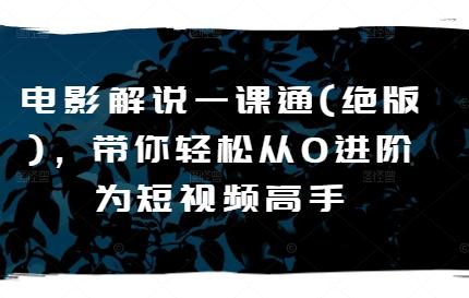 电影解说一课通(绝版)，带你轻松从0进阶为短视频高手-皮皮网创