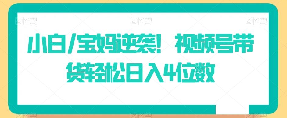 小白/宝妈逆袭！视频号带货轻松日入4位数【揭秘】-皮皮网创