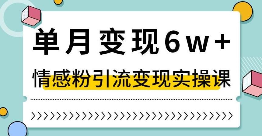 单月变现6W+，抖音情感粉引流变现实操课，小白可做，轻松上手，独家赛道【揭秘】-皮皮网创