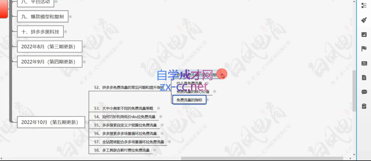 白凤电商·拼多多日销千单训练营(更新9月)-皮皮网创