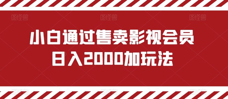 小白通过售卖影视会员日入2000加玩法-皮皮网创