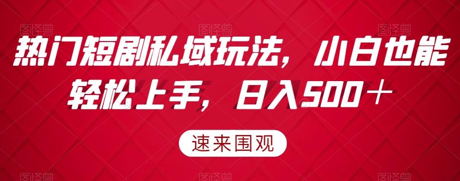 热门短剧私域玩法，小白也能轻松上手，日入500＋-皮皮网创