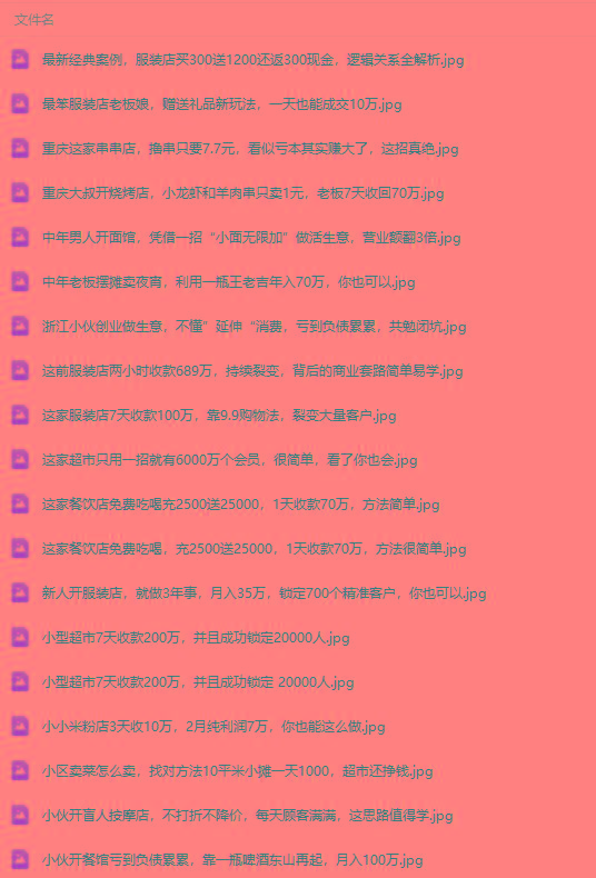 图片[4]-(9607期)真实有效391套商业模式，年入几十到几百万案例解析(电子书+视频+图文)-皮皮网创