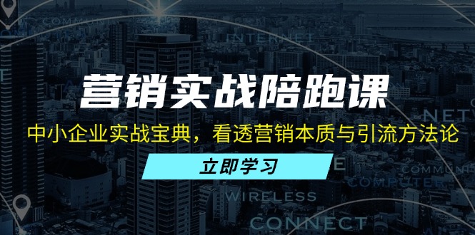 营销实战陪跑课：中小企业实战宝典，看透营销本质与引流方法论-皮皮网创