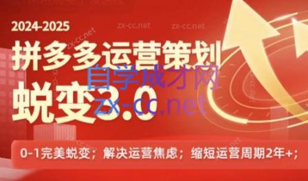 大力老师·2024拼多多运营策略蜕变3.0-皮皮网创