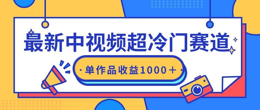 (9275期)最新中视频超冷门赛道，轻松过原创，单条视频收益1000＋-皮皮网创