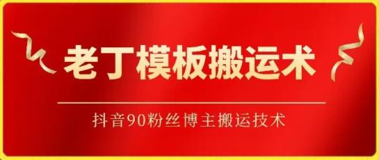 老丁模板搬运术：抖音90万粉丝博主搬运技术【揭秘】-皮皮网创