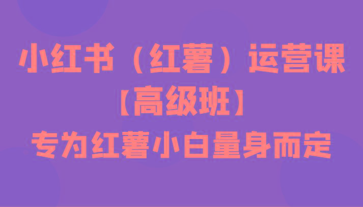 小红书(红薯)运营课【高级班】，专为红薯小白量身而定(42节课)-皮皮网创