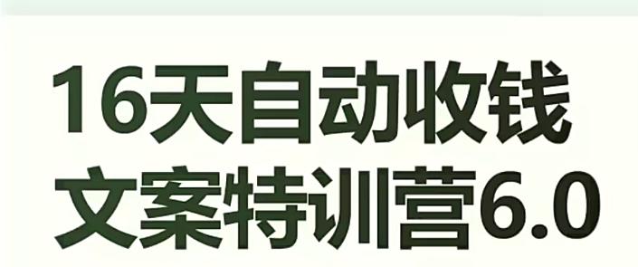 16天自动收钱文案特训营6.0，学会儿每天自动咔咔收钱-皮皮网创