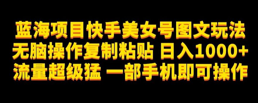 蓝海项目快手美女号图文玩法，无脑操作复制粘贴，日入1000+流量超级猛一部手机即可操作【揭秘】-皮皮网创