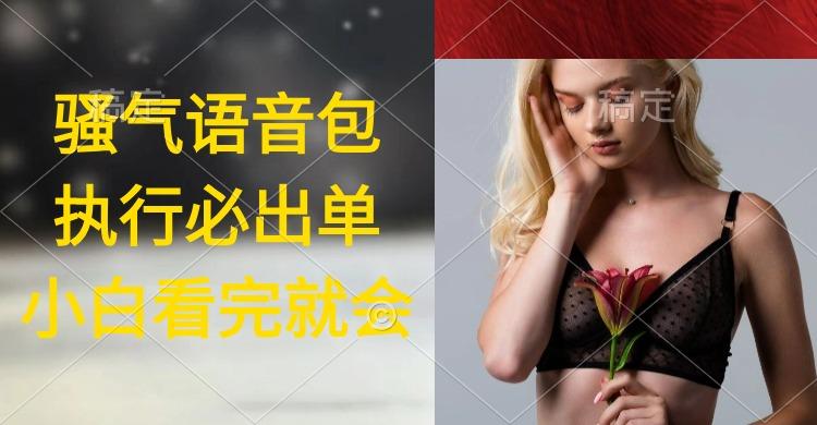 (9589期)执行就出单，日入2000+，超火骚气语音包，小白看完课程就能马上实操-皮皮网创