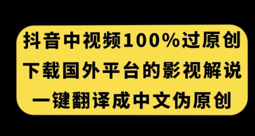 抖音中视频百分百过原创，下载国外平台的电影解说，一键翻译成中文获取收益-皮皮网创