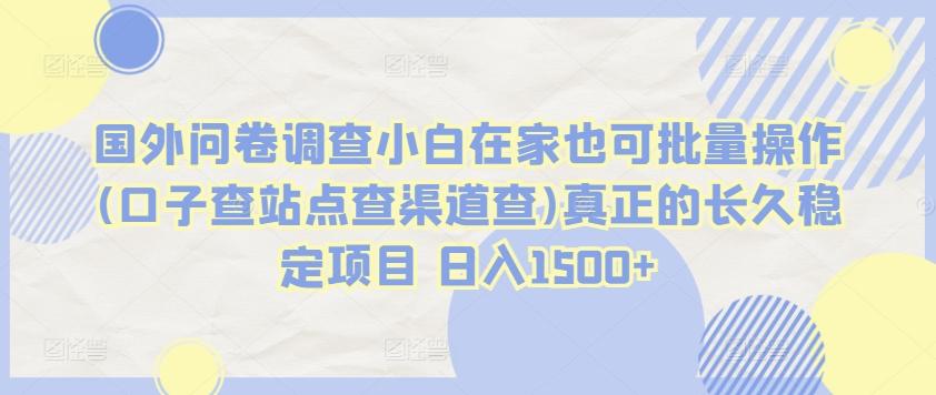 国外问卷调查小白在家也可批量操作(口子查站点查渠道查)真正的长久稳定项目 日入1500+【揭秘】-皮皮网创