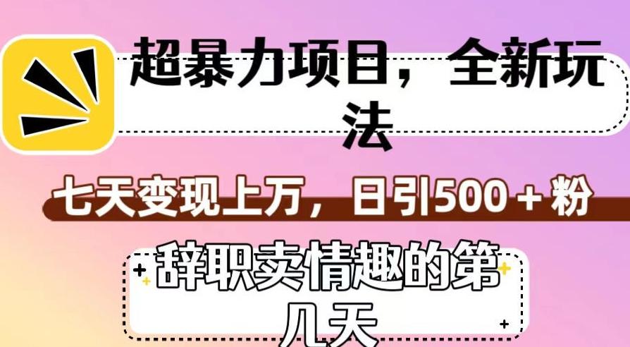 超暴利项目，全新玩法（辞职卖情趣的第几天），七天变现上万，日引500+粉【揭秘】-皮皮网创