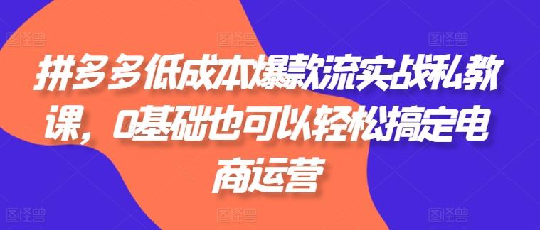 拼多多低成本爆款流实战私教课，0基础也可以轻松搞定电商运营-皮皮网创