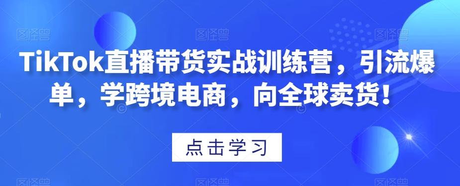TikTok直播带货实战训练营，引流爆单，学跨境电商，向全球卖货！-皮皮网创