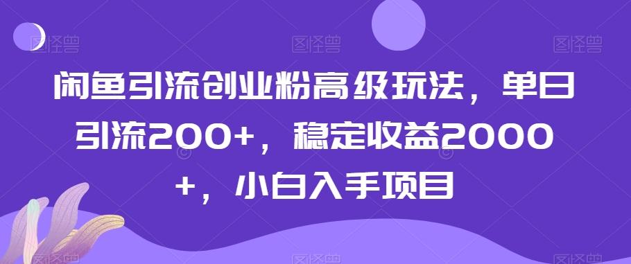 闲鱼引流创业粉高级玩法，单日引流200+，稳定收益2000+，小白入手项目-皮皮网创