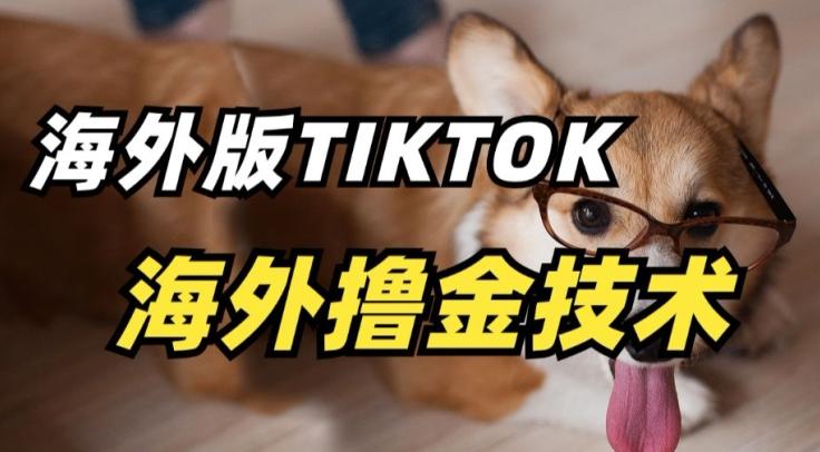 抖音海外版tiktok撸金技术，这个风口行业，赚钱真的不难【揭秘】-皮皮网创