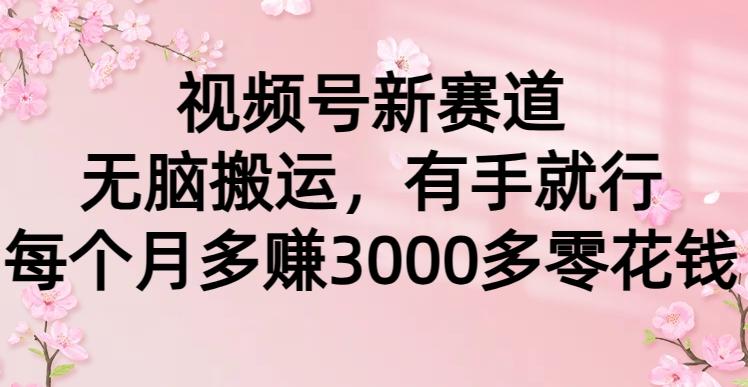 (9278期)视频号新赛道，无脑搬运，有手就行，每个月多赚3000多零花钱-皮皮网创