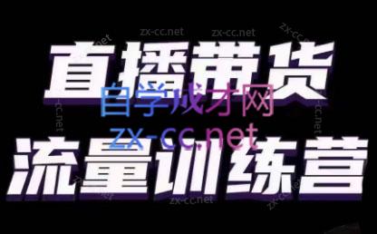 婉婉·直播带货课程系列合集(更新8月)-皮皮网创