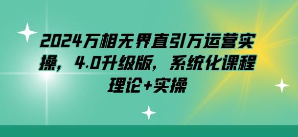 2024万相无界直引万运营实操，4.0升级版，系统化课程 理论+实操-皮皮网创
