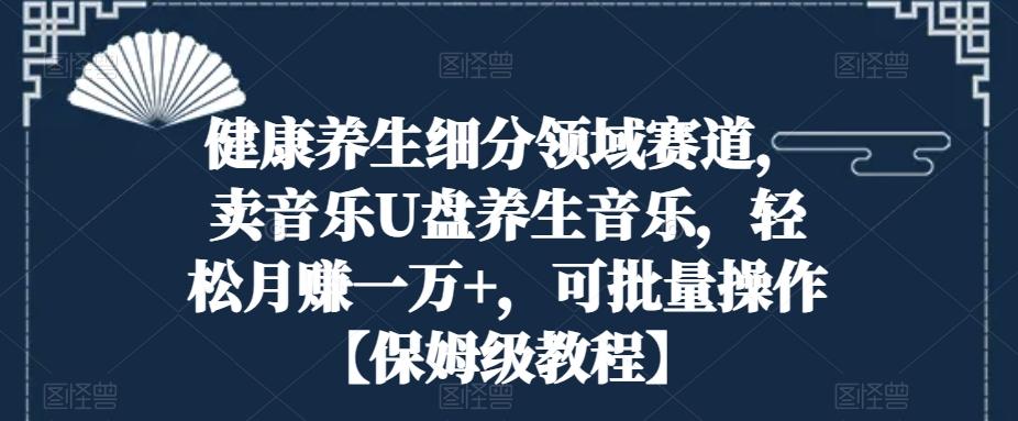 健康养生细分领域赛道，卖音乐U盘养生音乐，轻松月赚一万+，可批量操作【保姆级教程】-皮皮网创
