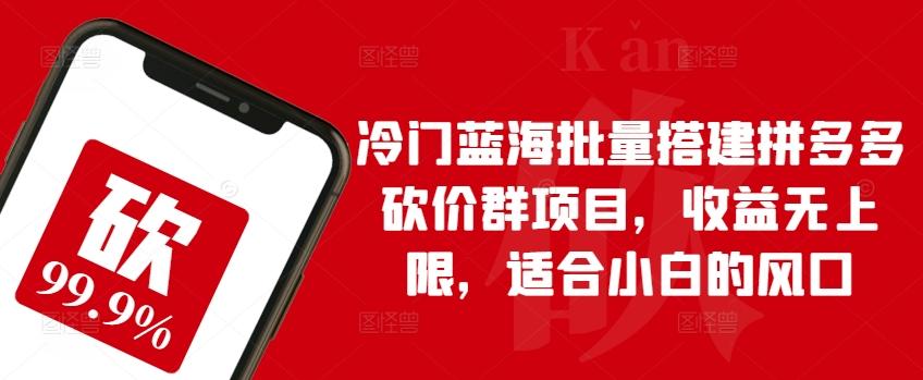 冷门蓝海批量搭建拼多多砍价群项目，收益无上限，适合小白的风口【揭秘】-皮皮网创