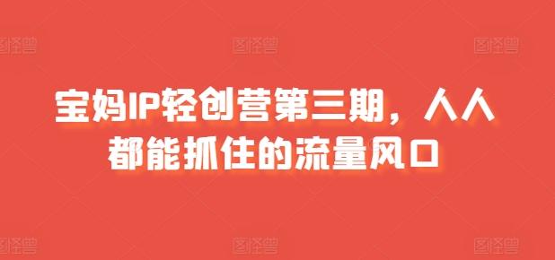 宝妈IP轻创营第三期，人人都能抓住的流量风口-皮皮网创
