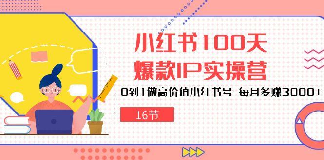 小红书100天-爆款IP实操营，0到1做高价值小红书号 每月多赚3000+(16节-皮皮网创
