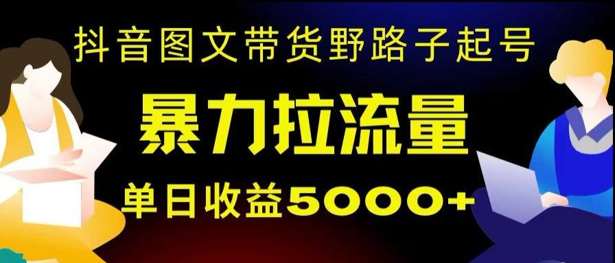 抖音图文带货暴力起号，单日收益5000+，野路子玩法，简单易上手，一部手机即可【揭秘】-皮皮网创