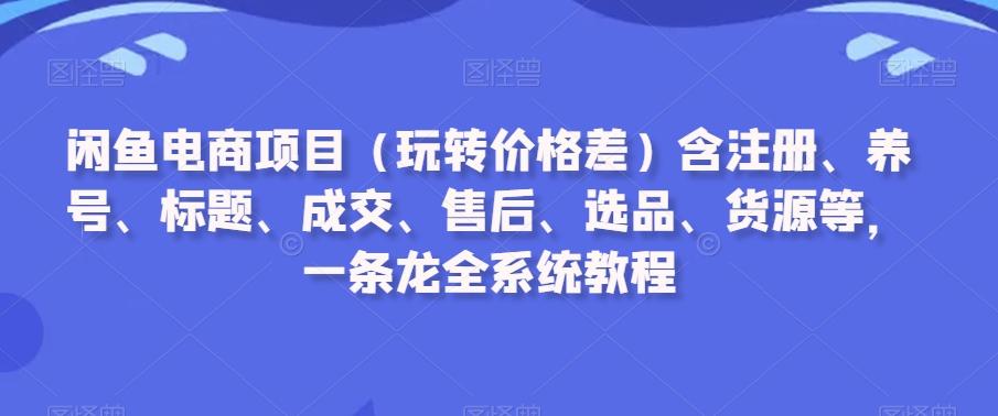 闲鱼电商项目(玩转价格差)含注册、养号、标题、成交、售后、选品、货源等，一条龙全系统教程-皮皮网创