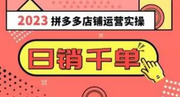 2023拼多多运营实操，每天30分钟日销1000＋，爆款选品技巧大全（10节课）-皮皮网创