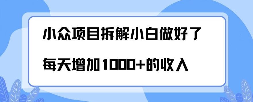 小众项目拆解，小白做好了每天可增加1000多的收入-皮皮网创