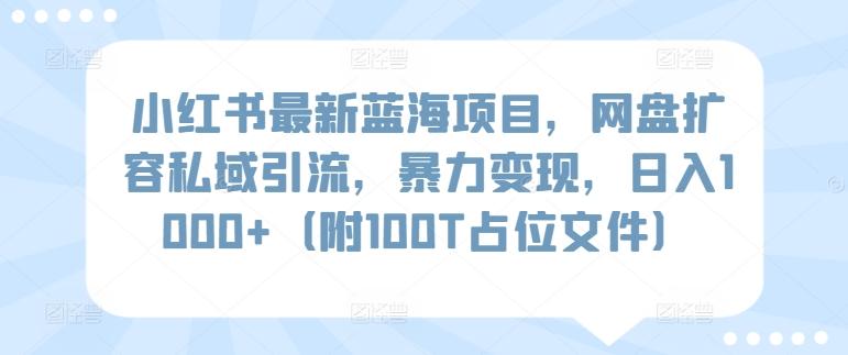 小红书最新蓝海项目，网盘扩容私域引流，暴力变现，日入1000+(附100T占位文件)【揭秘】-皮皮网创