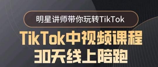 TikTok中视频课程30天线上陪跑，明星讲师带你玩转TikTok-皮皮网创