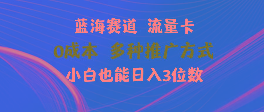 蓝海赛道 流量卡 0成本 小白也能日入三位数-皮皮网创