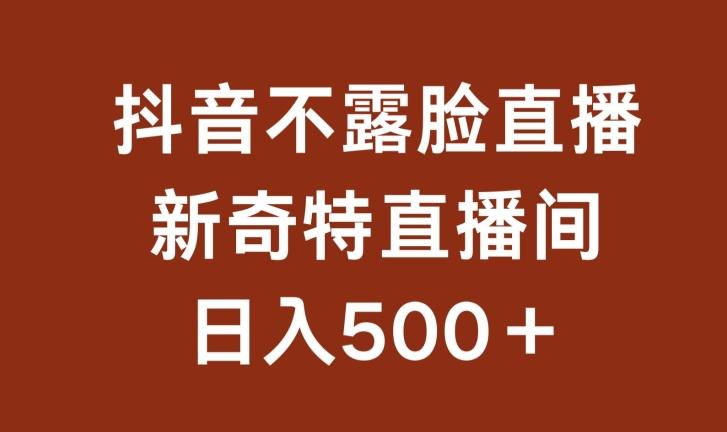 不露脸挂机直播，新奇特直播间，日入500+【揭秘】-皮皮网创