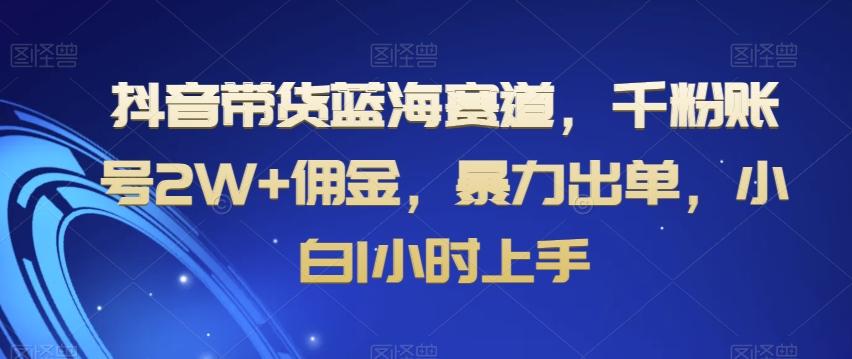 抖音带货蓝海赛道，千粉账号2W+佣金，暴力出单，小白1小时上手【揭秘】-皮皮网创
