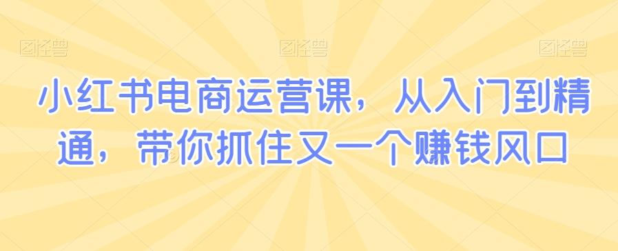 小红书电商运营课，从入门到精通，带你抓住又一个赚钱风口-皮皮网创