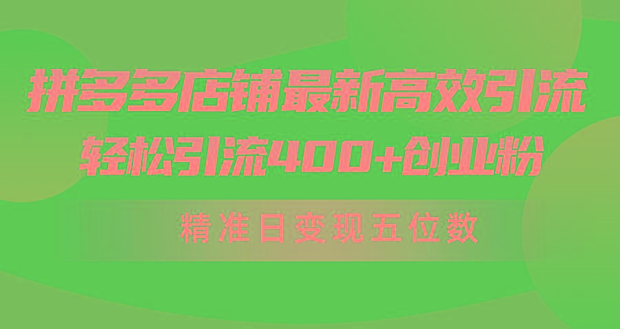(10041期)拼多多店铺最新高效引流术，轻松引流400+创业粉，精准日变现五位数！-皮皮网创