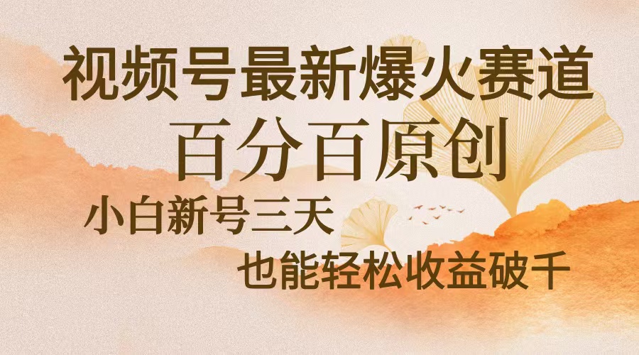 视频号最新爆火赛道，中老年粉深信不疑，百分百原创，新号三天收益轻松…-皮皮网创
