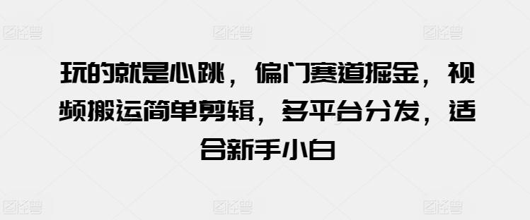 玩的就是心跳，偏门赛道掘金，视频搬运简单剪辑，多平台分发，适合新手小白【揭秘】-皮皮网创