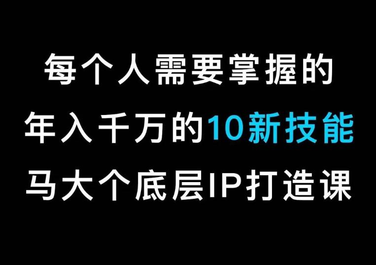 马大个的IP底层逻辑课，​每个人需要掌握的年入千万的10新技能，约会底层IP打造方法！-皮皮网创