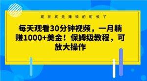 每天观看30分钟视频，一月躺赚1000+美金！保姆级教程，可放大操作【揭秘】-皮皮网创