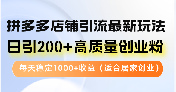 拼多多店铺引流最新玩法，日引200+高质量创业粉，每天稳定1000+收益(…-皮皮网创