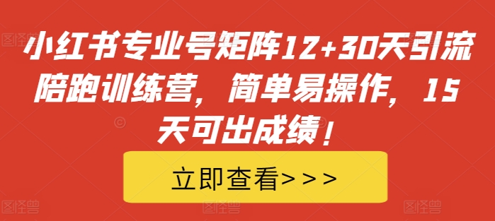 小红书专业号矩阵12+30天引流陪跑训练营，简单易操作，15天可出成绩!-皮皮网创