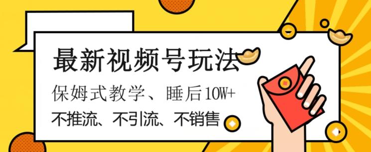 最新视频号玩法，不销售、不引流、不推广，躺着月入1W+，保姆式教学，小白轻松上手【揭秘】-皮皮网创