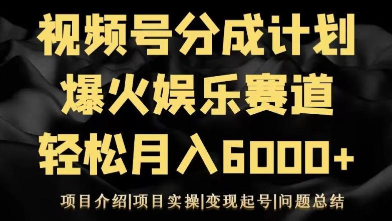 视频号创作分成计划之娱乐赛道轻松日入500+-皮皮网创