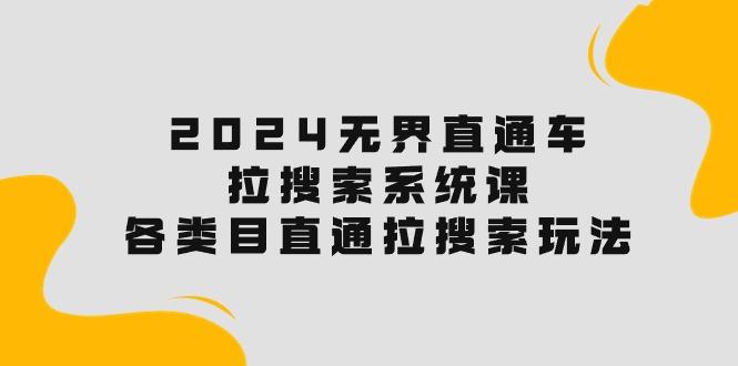 2024无界直通车·拉搜索系统课：各类目直通车 拉搜索玩法！-皮皮网创